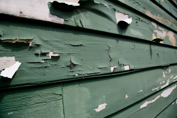 Siding for Multi-Family Homes in New Haven, MI